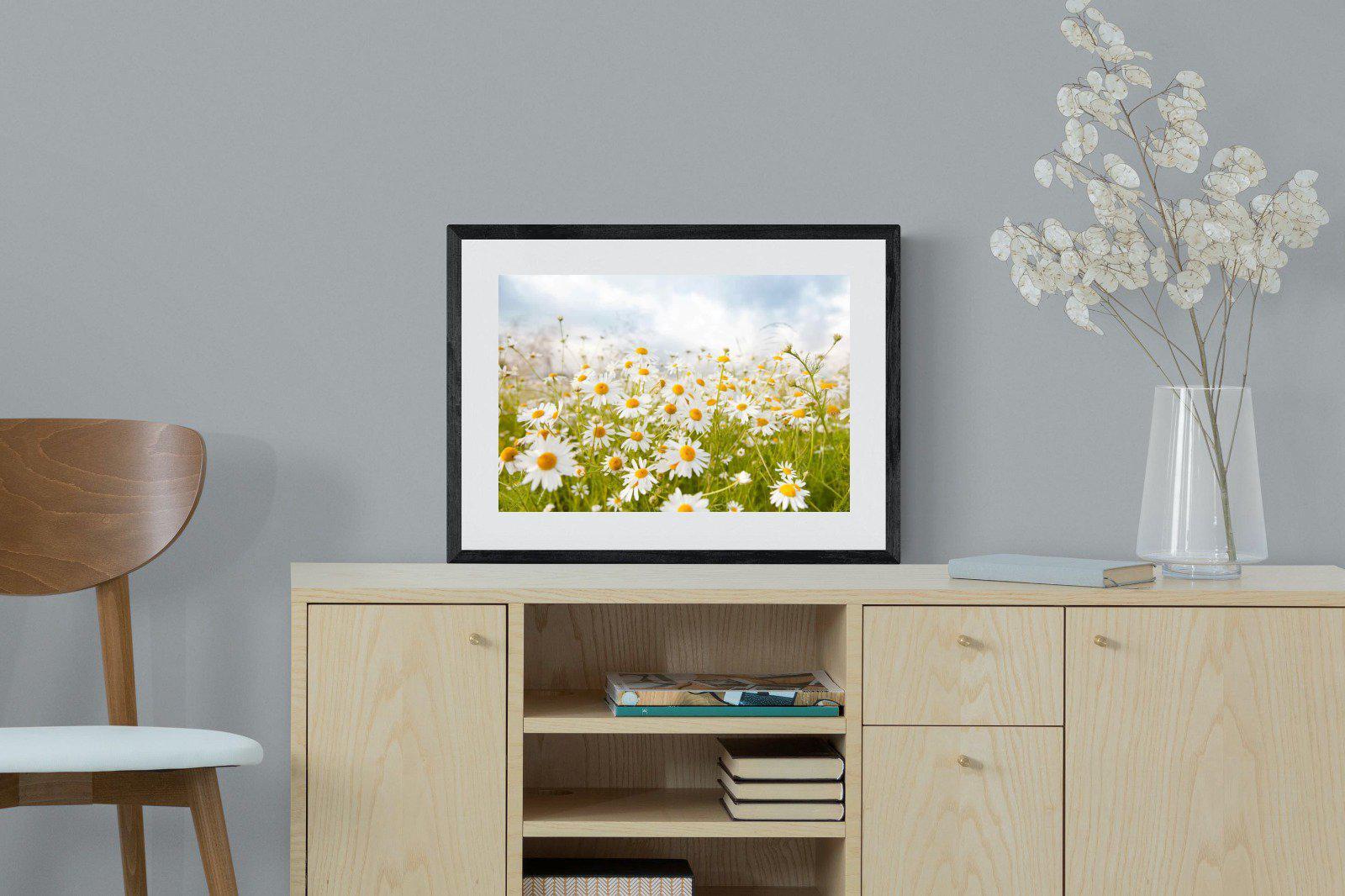 Daisies-Wall_Art-60 x 45cm-Framed Print-Black-Pixalot
