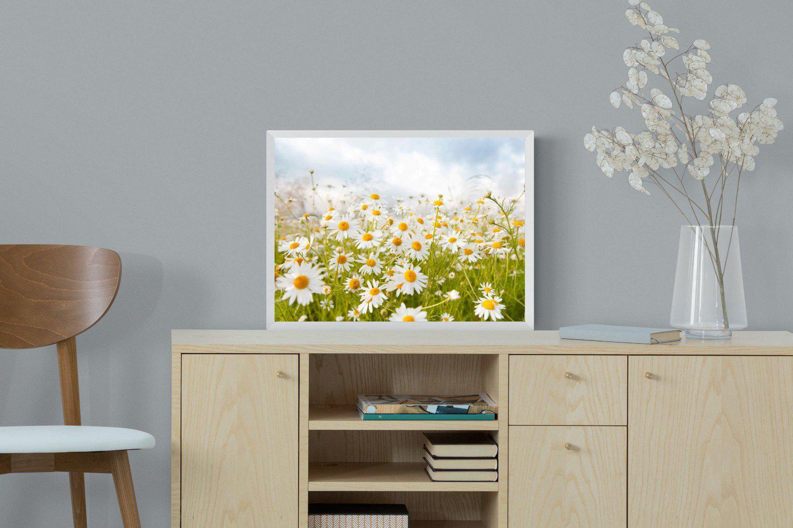 Daisies-Wall_Art-60 x 45cm-Mounted Canvas-White-Pixalot