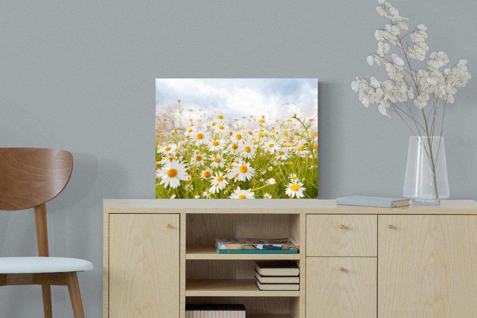 Daisies-Wall_Art-60 x 45cm-Mounted Canvas-No Frame-Pixalot