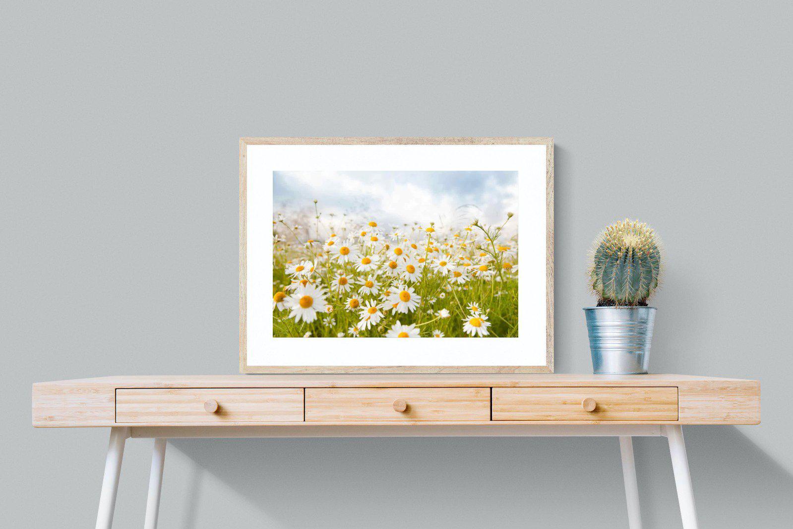 Daisies-Wall_Art-80 x 60cm-Framed Print-Wood-Pixalot