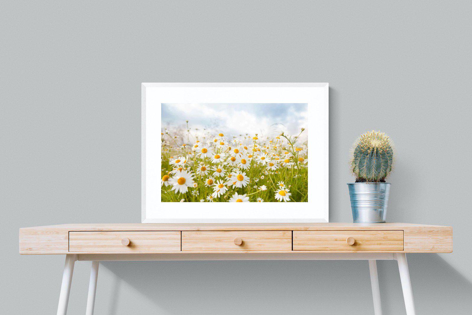 Daisies-Wall_Art-80 x 60cm-Framed Print-White-Pixalot