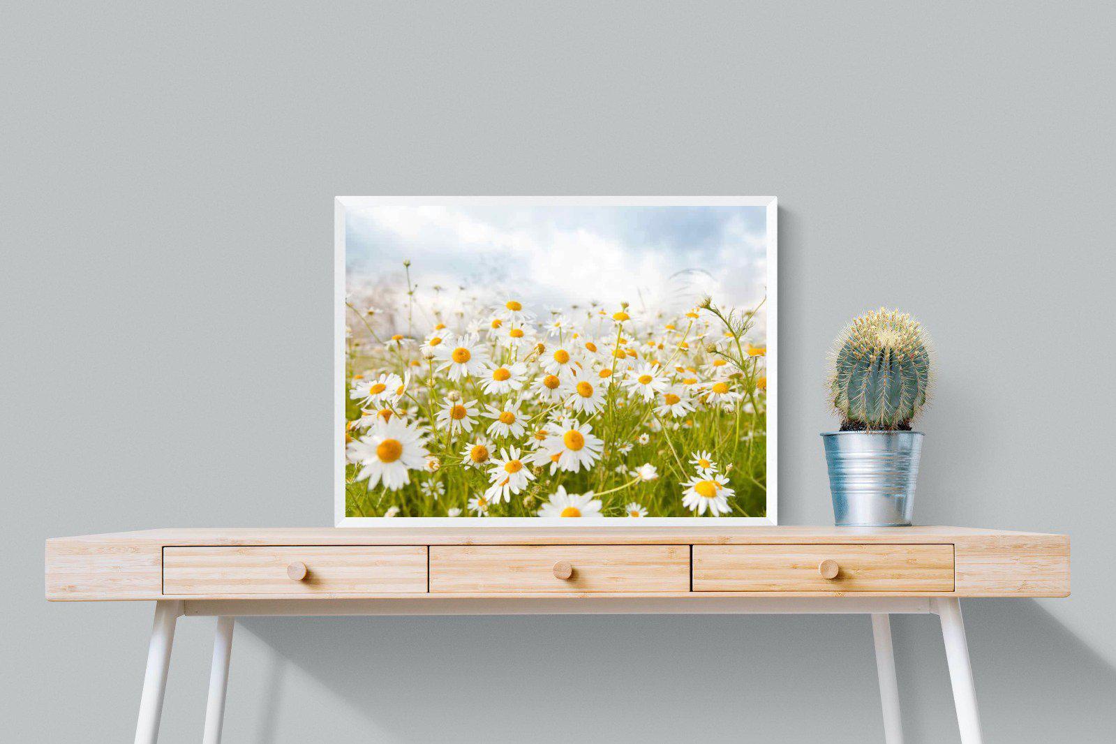 Daisies-Wall_Art-80 x 60cm-Mounted Canvas-White-Pixalot
