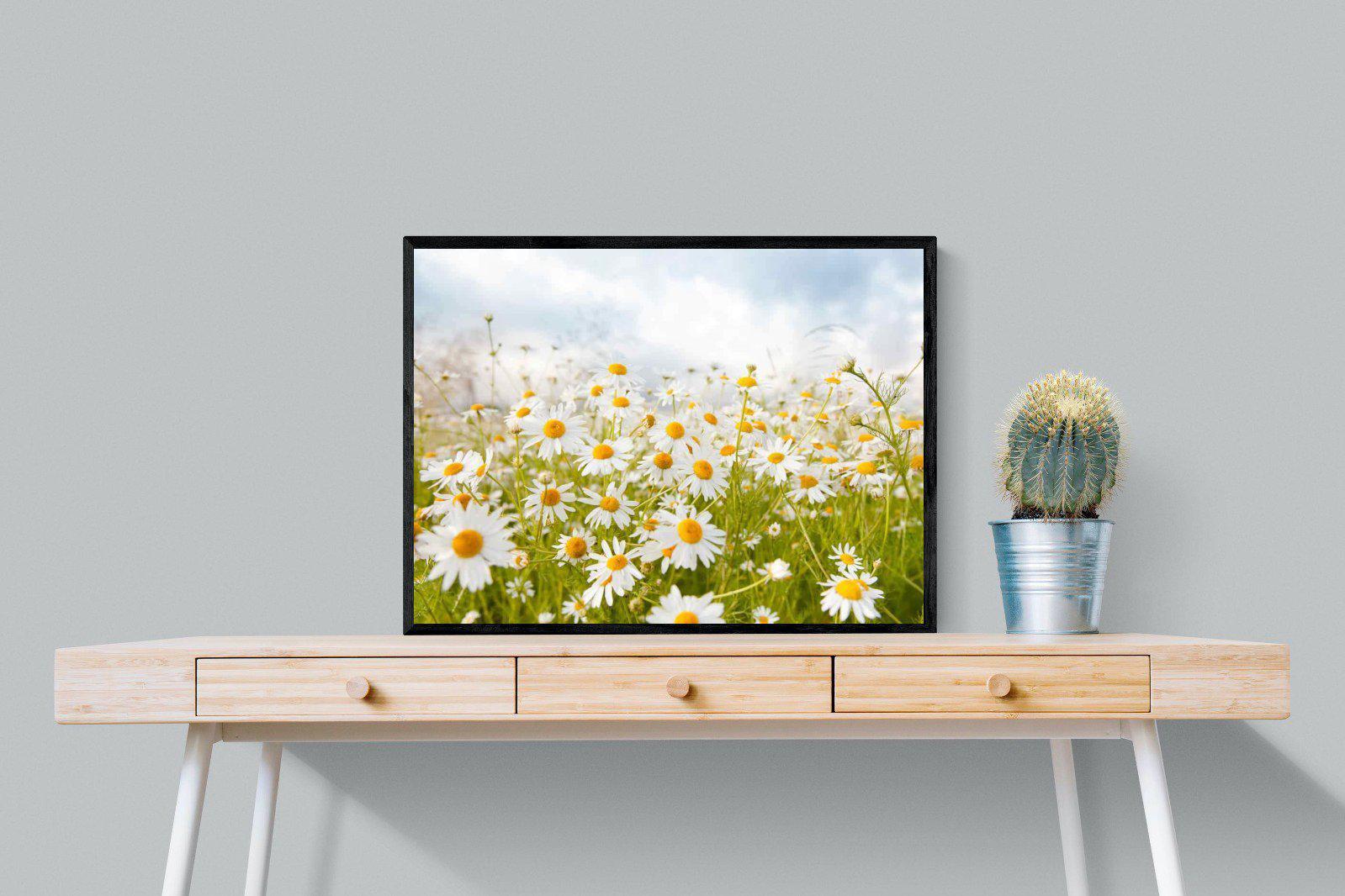 Daisies-Wall_Art-80 x 60cm-Mounted Canvas-Black-Pixalot