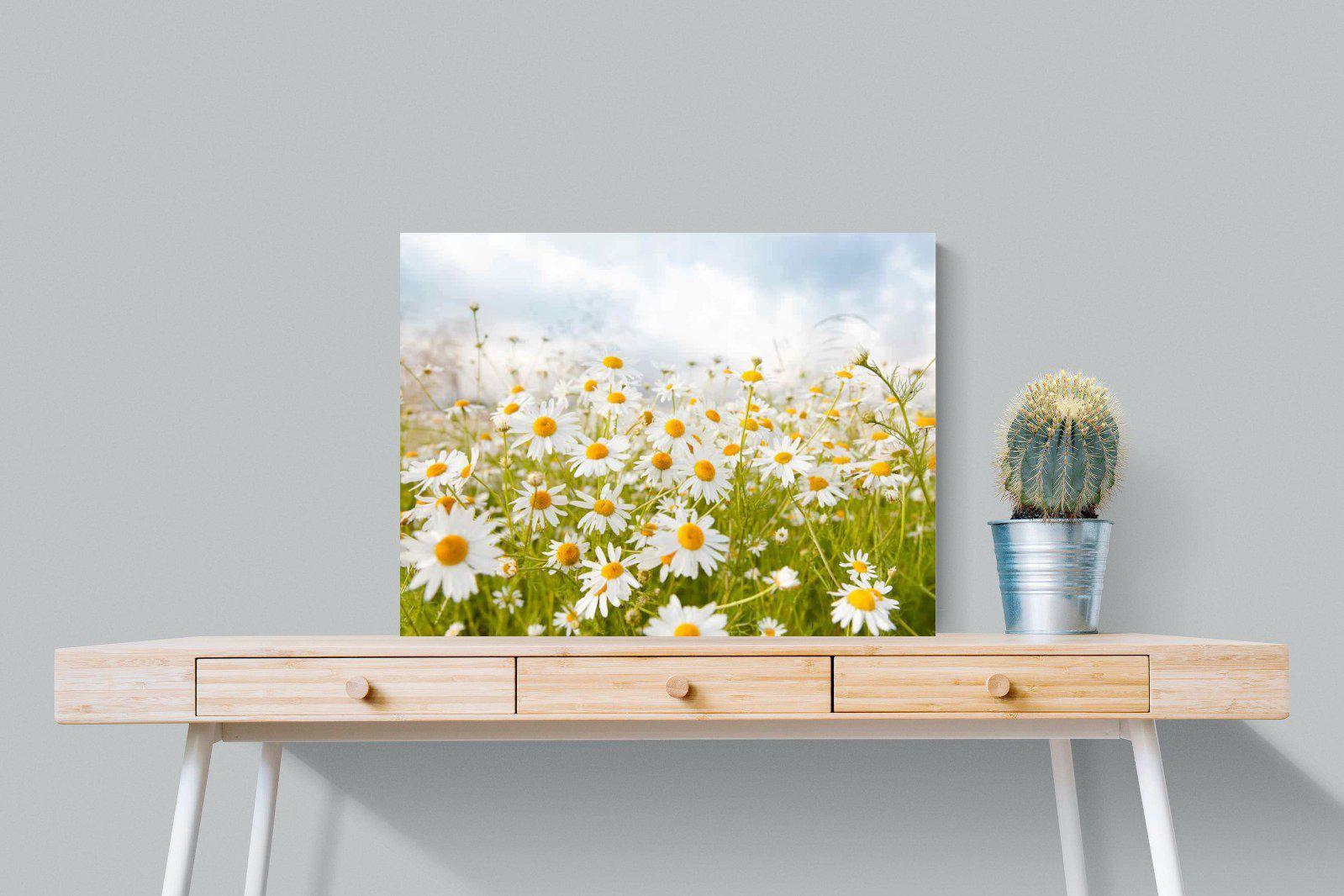 Daisies-Wall_Art-80 x 60cm-Mounted Canvas-No Frame-Pixalot