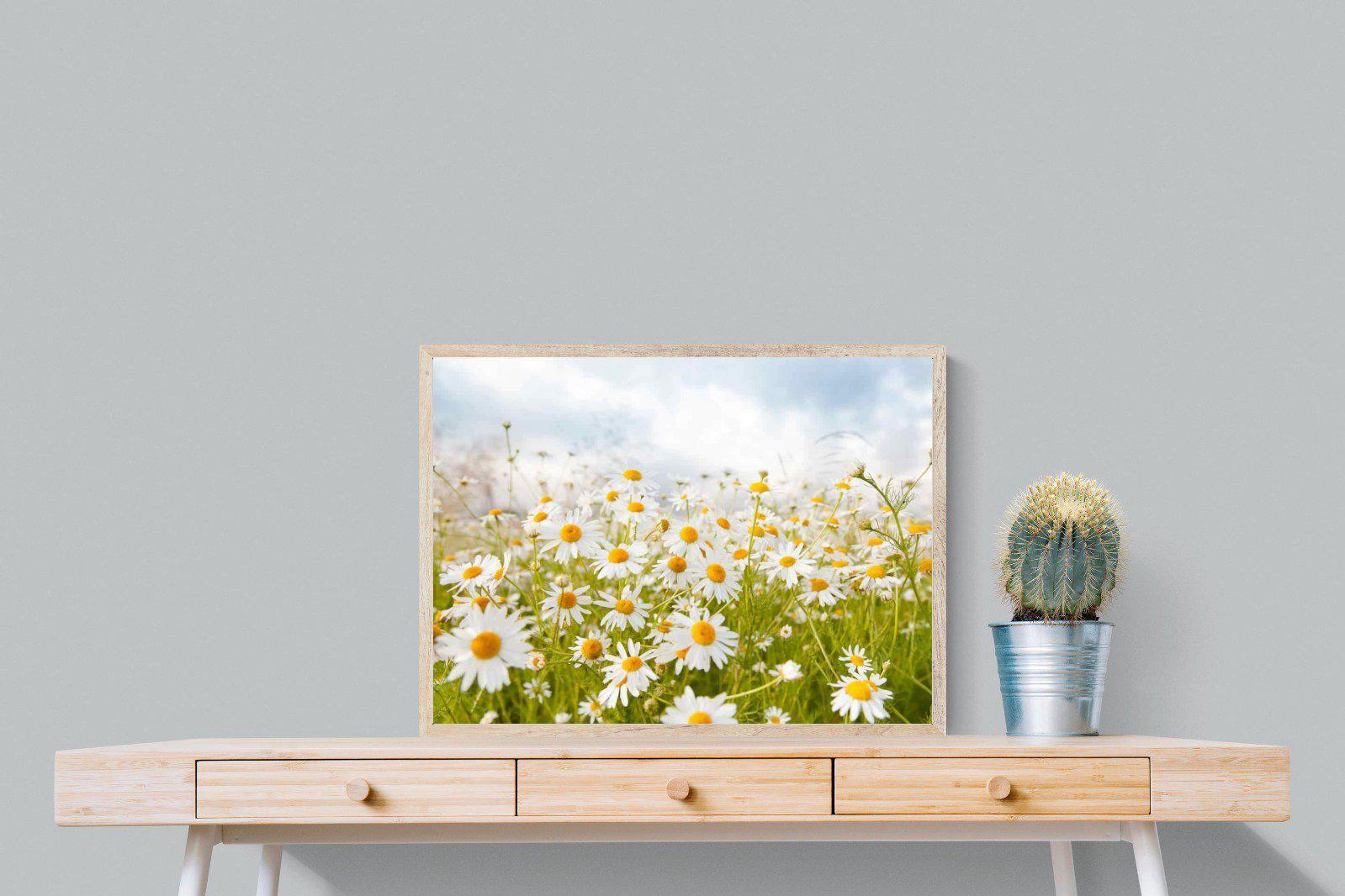 Daisies-Wall_Art-80 x 60cm-Mounted Canvas-Wood-Pixalot