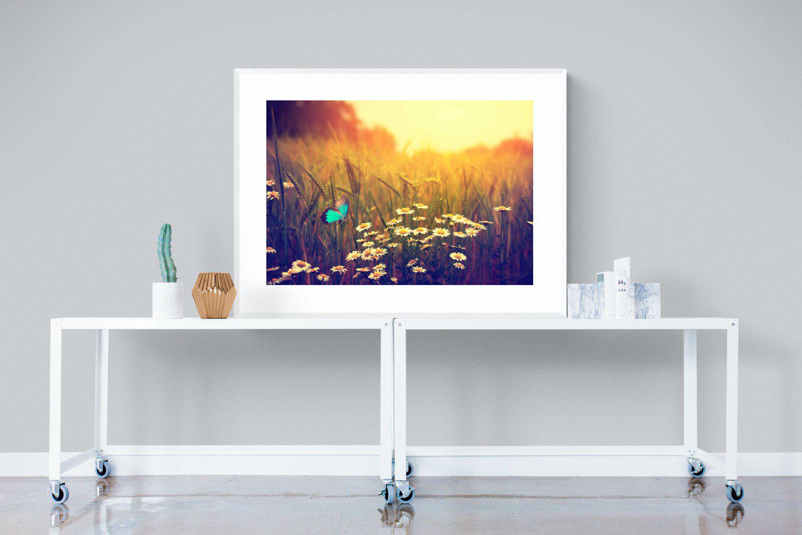Daisy Flutter-Wall_Art-120 x 90cm-Framed Print-White-Pixalot