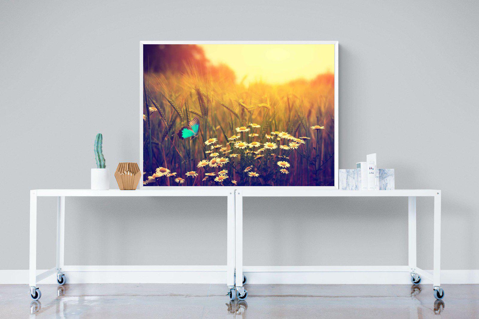 Daisy Flutter-Wall_Art-120 x 90cm-Mounted Canvas-White-Pixalot