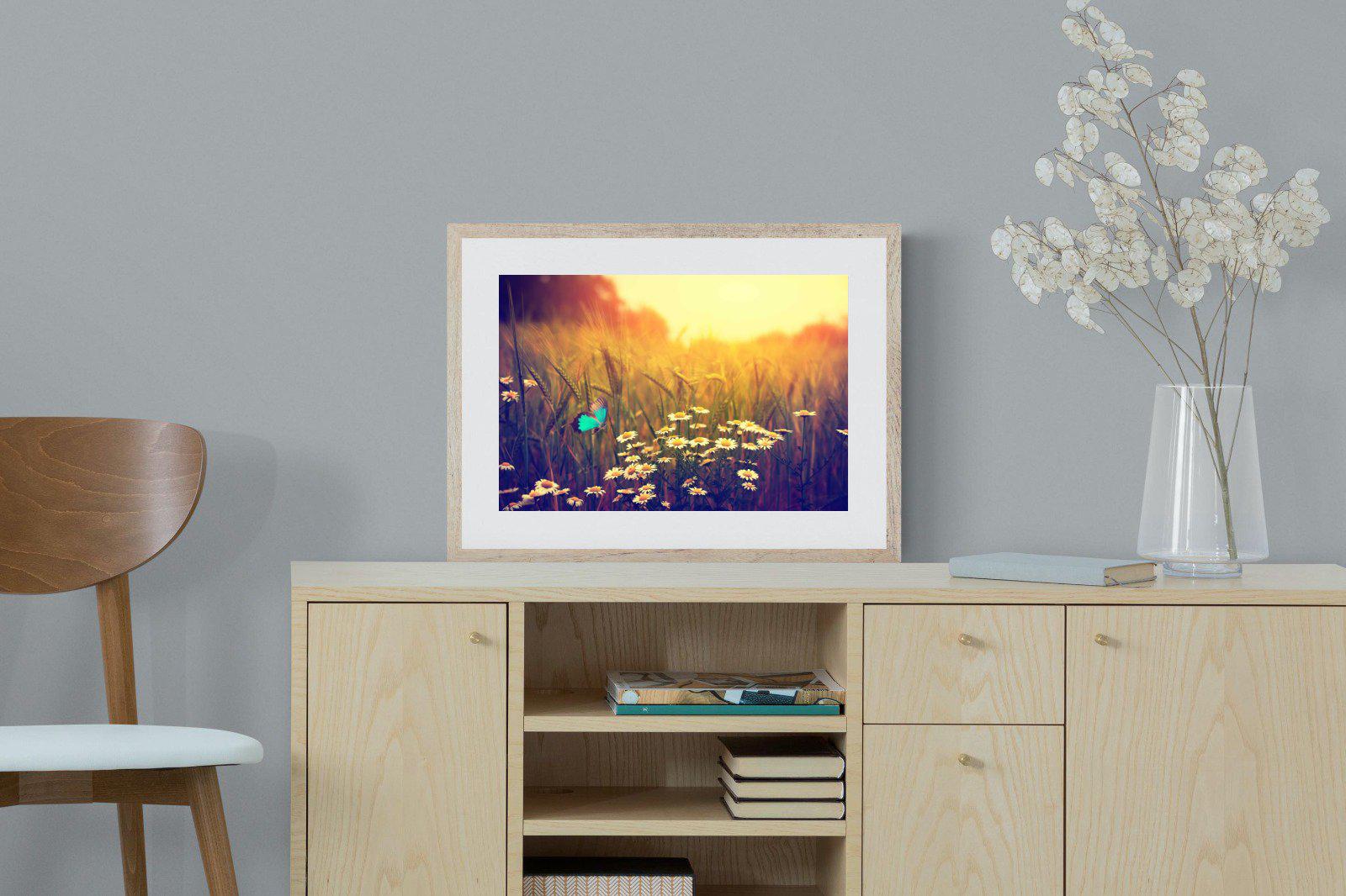 Daisy Flutter-Wall_Art-60 x 45cm-Framed Print-Wood-Pixalot
