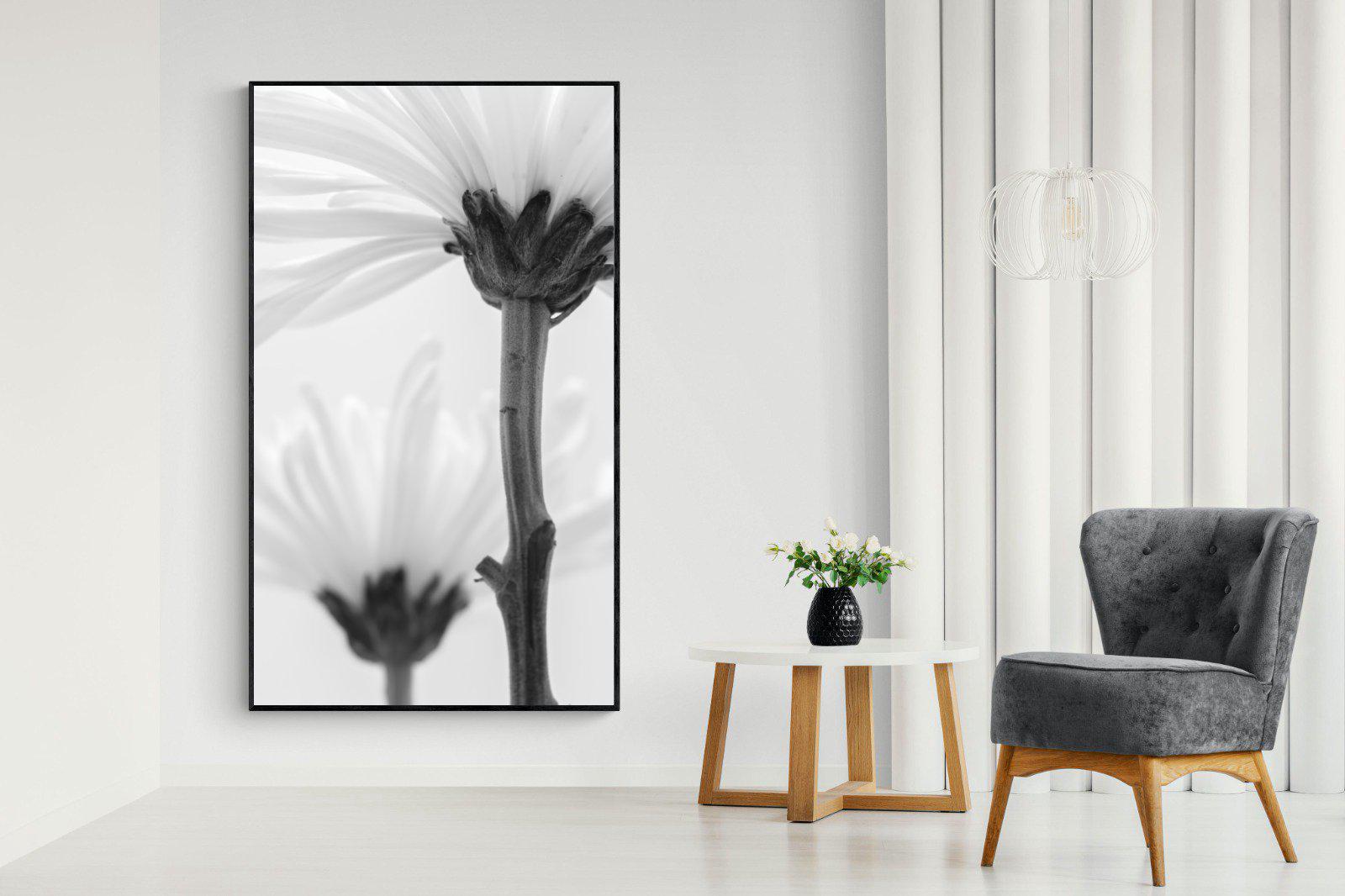 Daisy Stem-Wall_Art-130 x 220cm-Mounted Canvas-Black-Pixalot