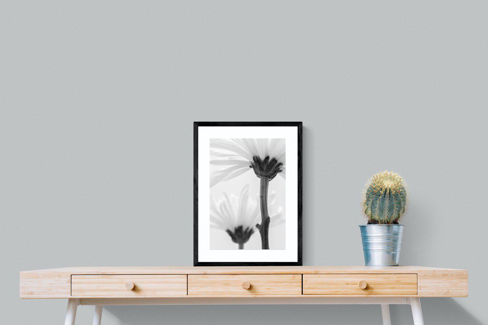 Daisy Stem-Wall_Art-45 x 60cm-Framed Print-Black-Pixalot