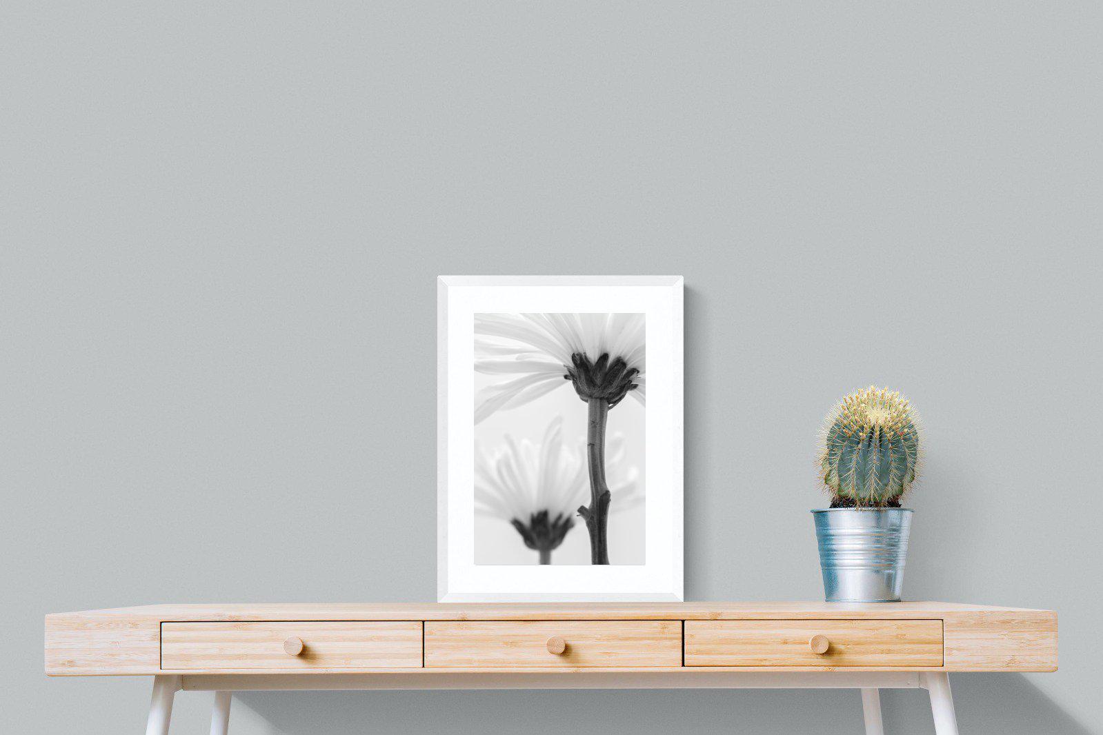 Daisy Stem-Wall_Art-45 x 60cm-Framed Print-White-Pixalot