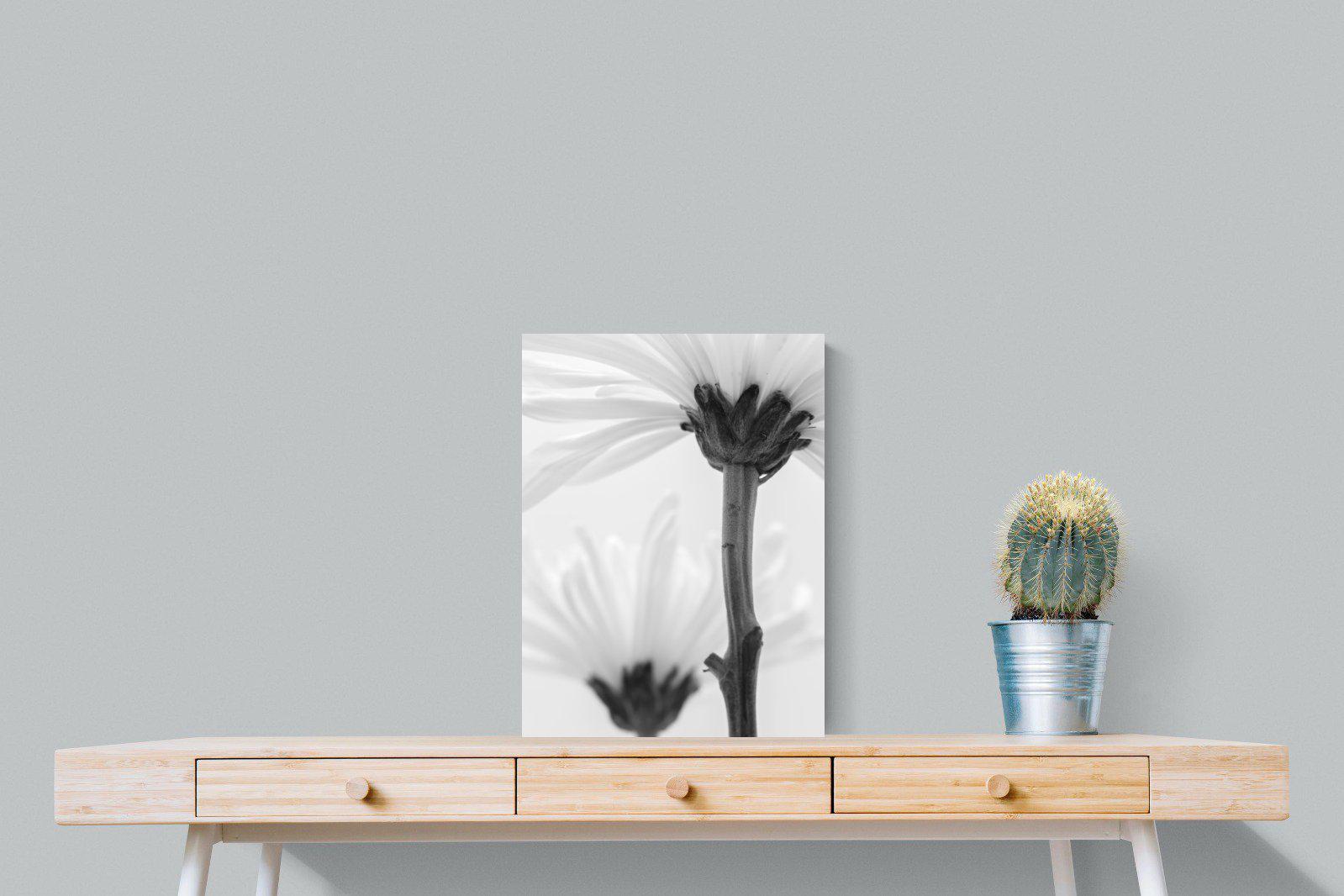Daisy Stem-Wall_Art-45 x 60cm-Mounted Canvas-No Frame-Pixalot