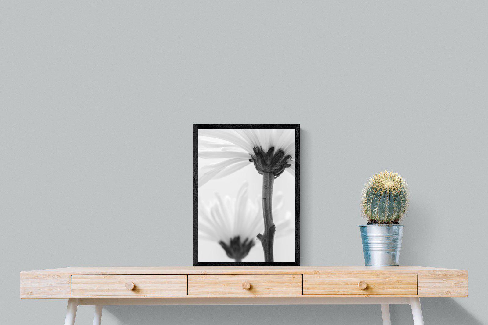 Daisy Stem-Wall_Art-45 x 60cm-Mounted Canvas-Black-Pixalot