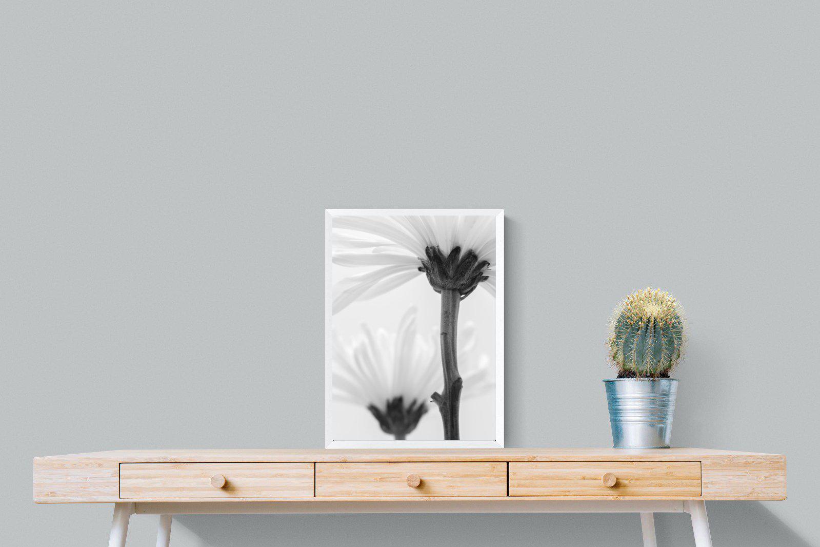 Daisy Stem-Wall_Art-45 x 60cm-Mounted Canvas-White-Pixalot