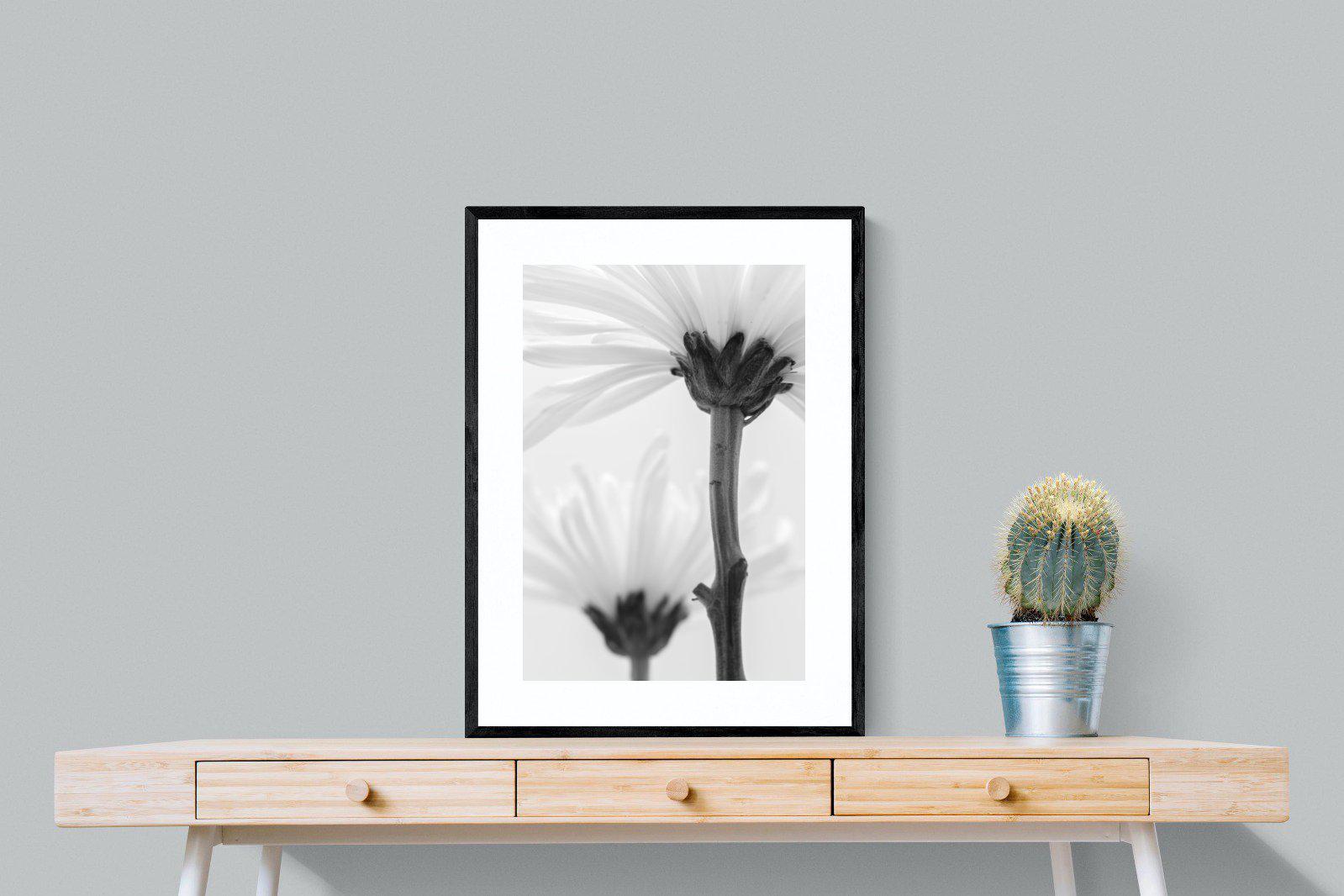 Daisy Stem-Wall_Art-60 x 80cm-Framed Print-Black-Pixalot