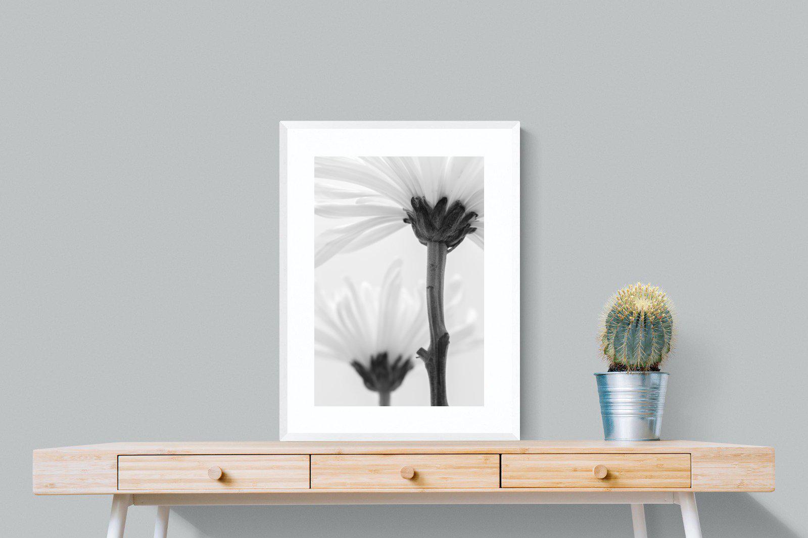 Daisy Stem-Wall_Art-60 x 80cm-Framed Print-White-Pixalot
