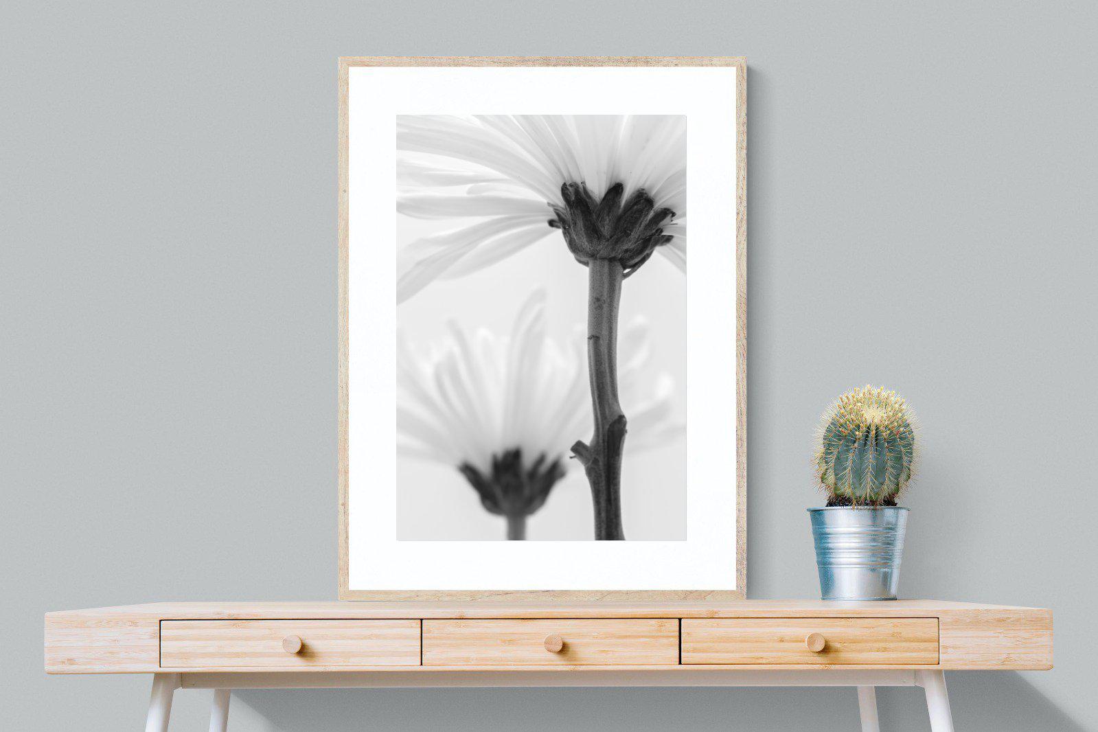 Daisy Stem-Wall_Art-75 x 100cm-Framed Print-Wood-Pixalot