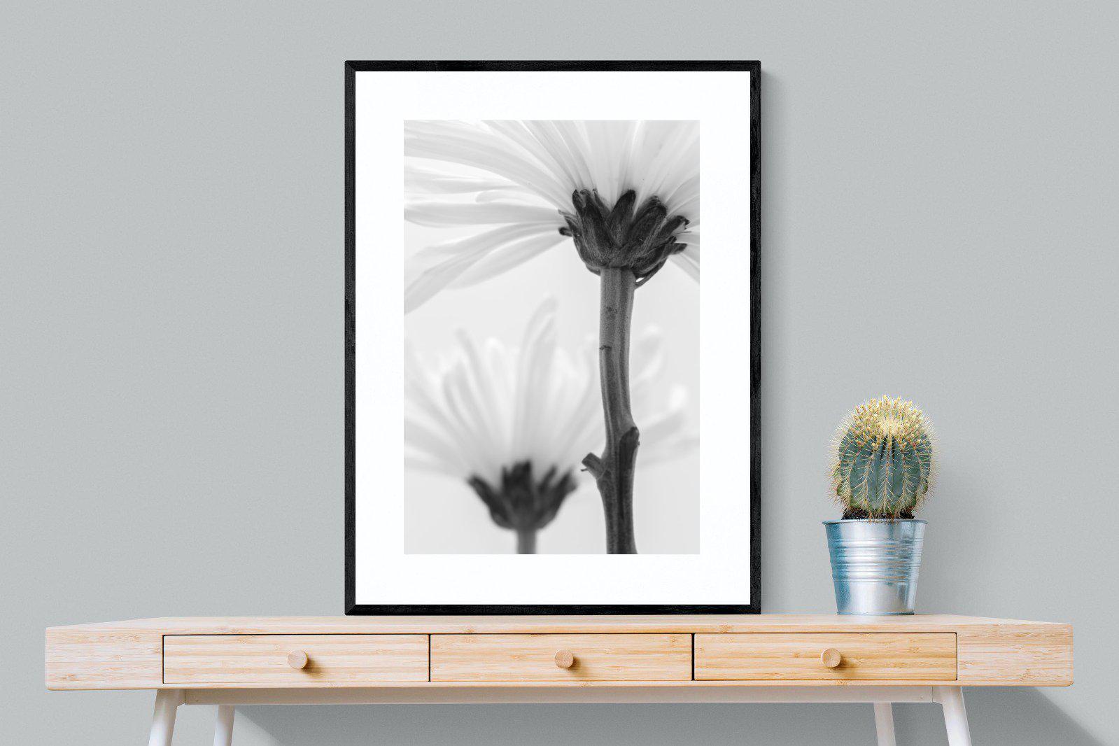 Daisy Stem-Wall_Art-75 x 100cm-Framed Print-Black-Pixalot