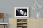 Dancing in the Spotlight-Wall_Art-60 x 45cm-Framed Print-Wood-Pixalot