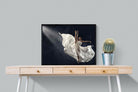 Dancing in the Spotlight-Wall_Art-80 x 60cm-Mounted Canvas-Black-Pixalot