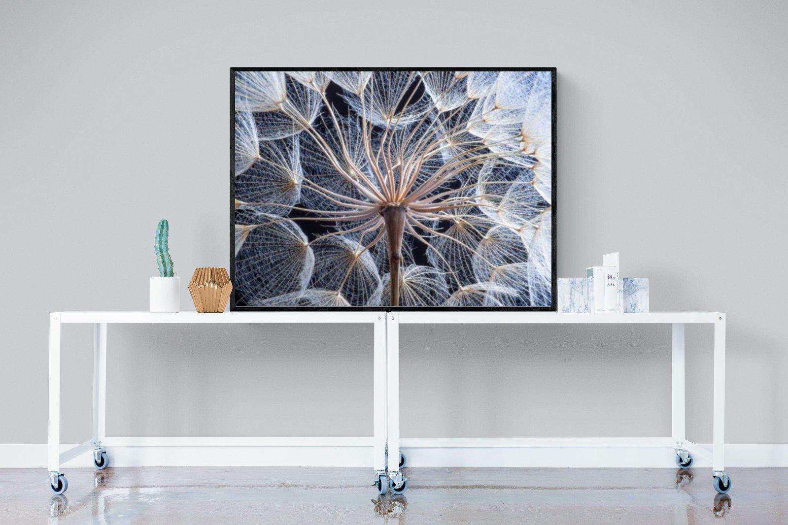 Dandelion Close Up-Wall_Art-120 x 90cm-Mounted Canvas-Black-Pixalot