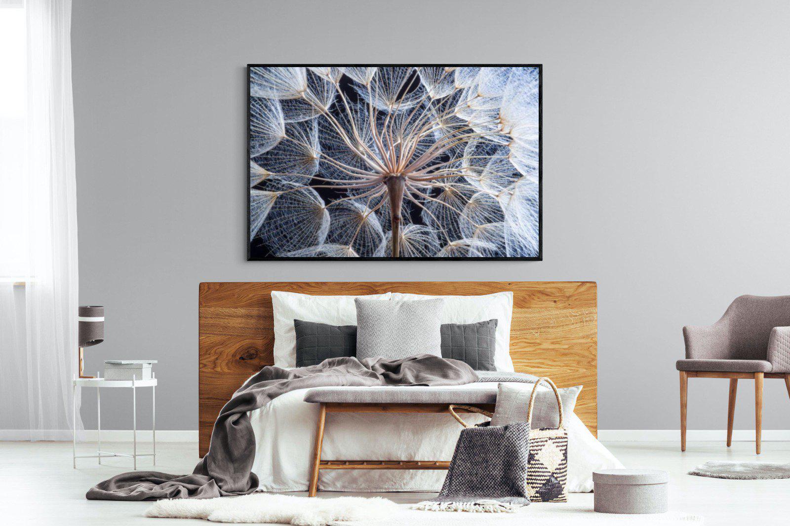 Dandelion Close Up-Wall_Art-150 x 100cm-Mounted Canvas-Black-Pixalot