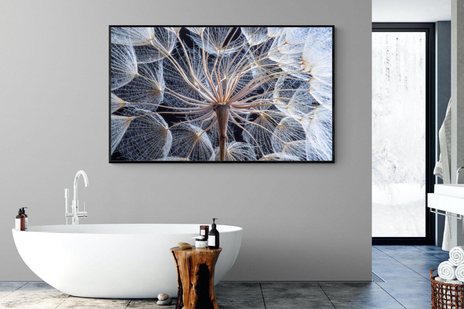 Dandelion Close Up-Wall_Art-180 x 110cm-Mounted Canvas-Black-Pixalot