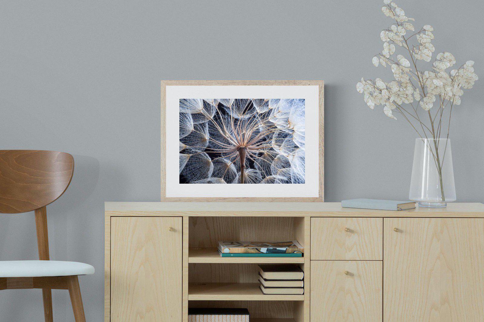 Dandelion Close Up-Wall_Art-60 x 45cm-Framed Print-Wood-Pixalot