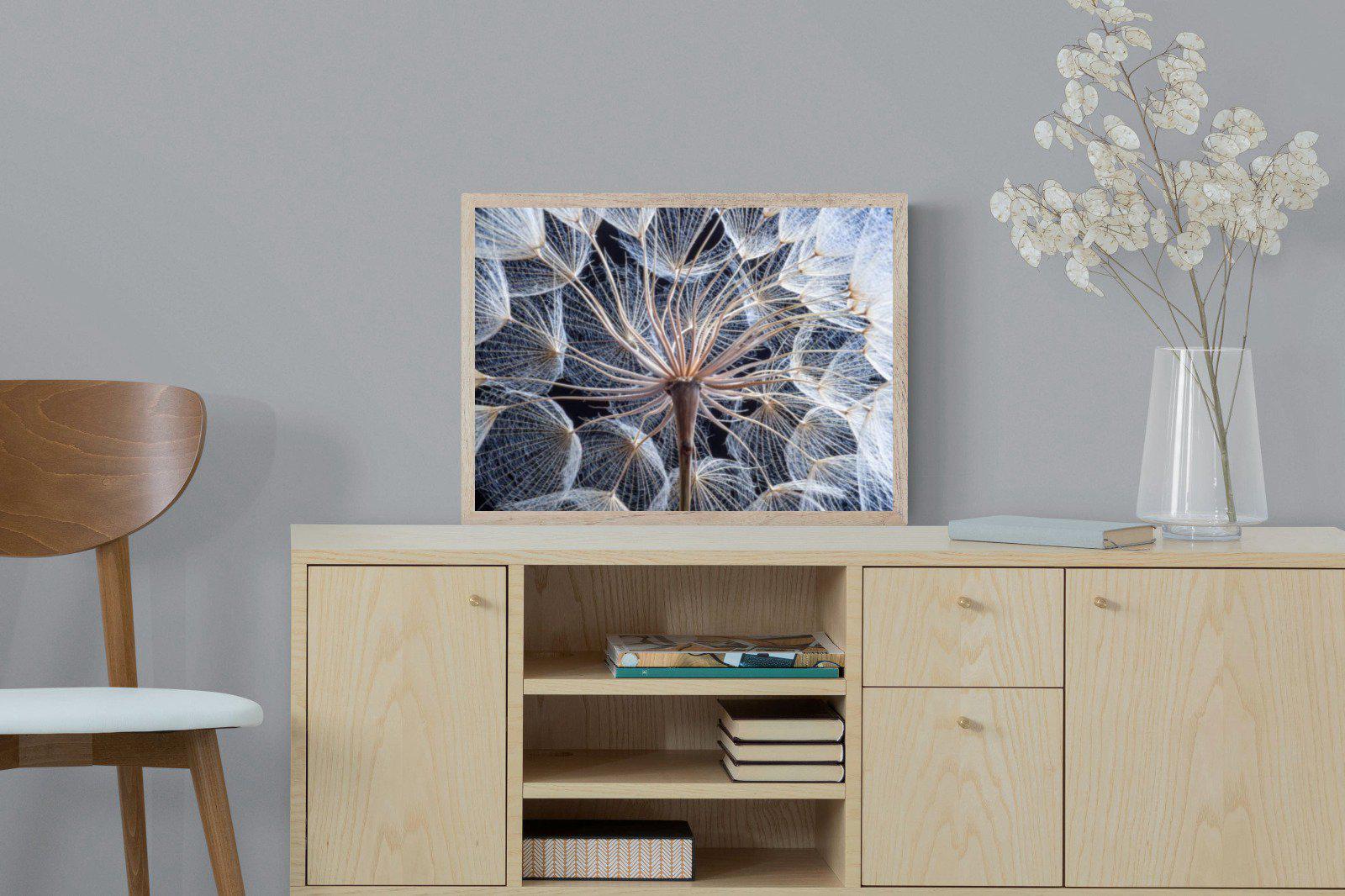 Dandelion Close Up-Wall_Art-60 x 45cm-Mounted Canvas-Wood-Pixalot