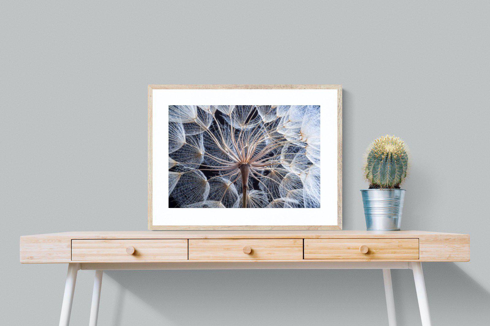 Dandelion Close Up-Wall_Art-80 x 60cm-Framed Print-Wood-Pixalot