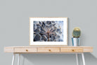 Dandelion Close Up-Wall_Art-80 x 60cm-Framed Print-Wood-Pixalot
