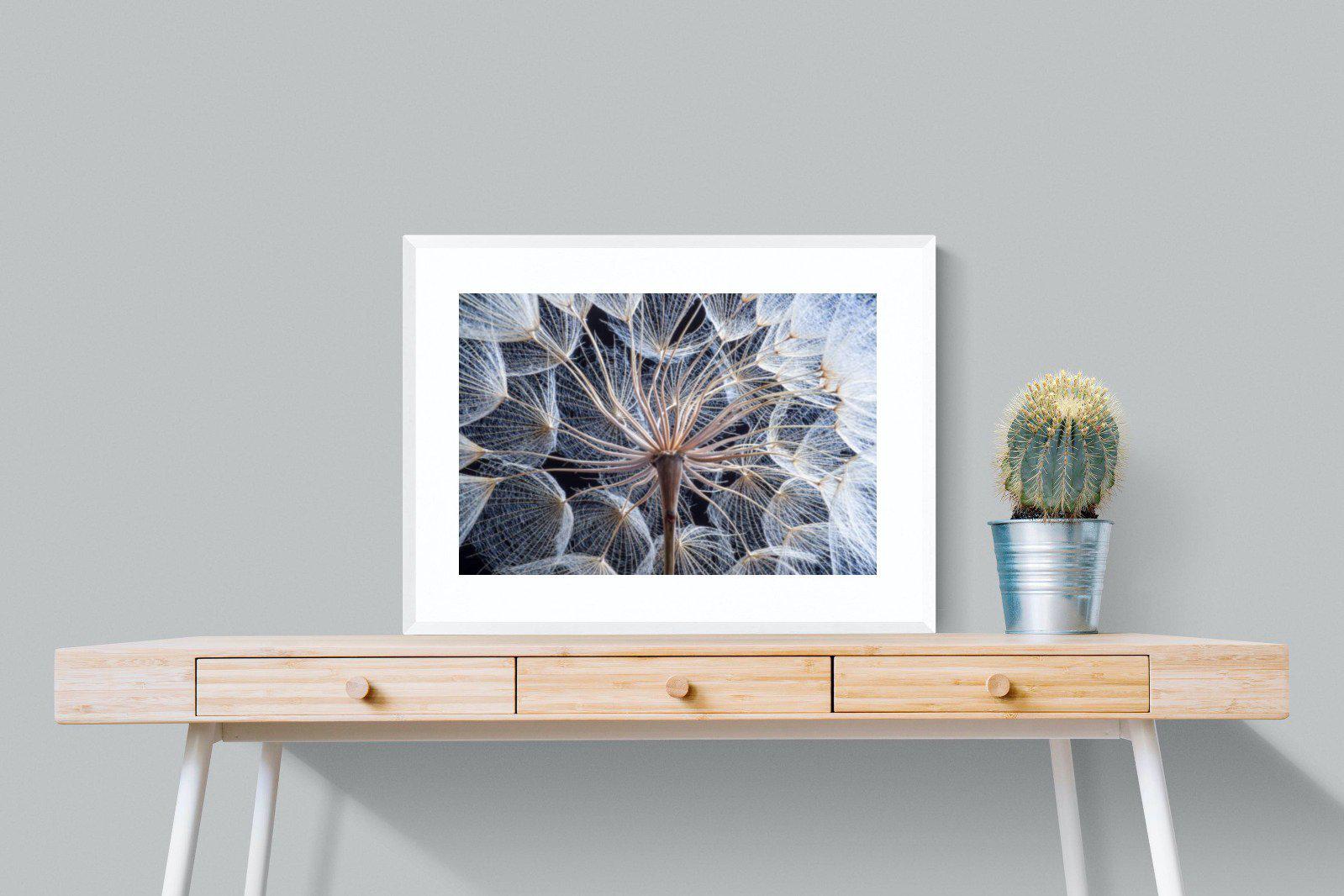 Dandelion Close Up-Wall_Art-80 x 60cm-Framed Print-White-Pixalot