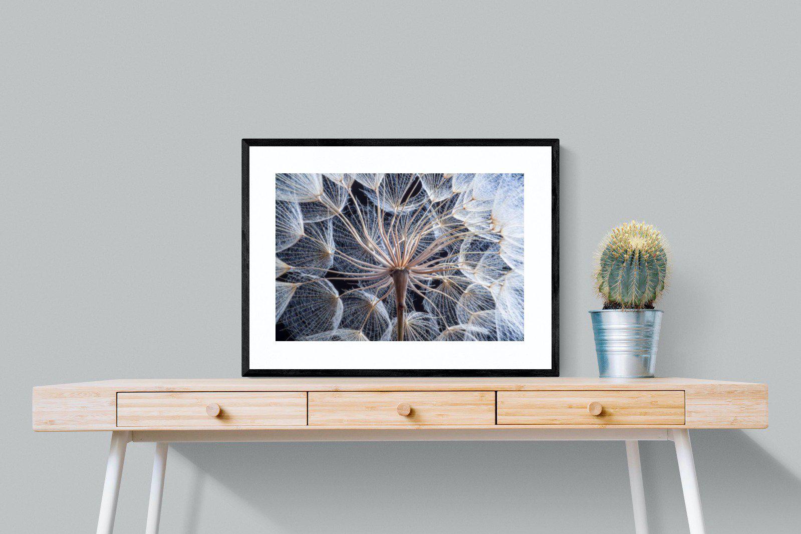 Dandelion Close Up-Wall_Art-80 x 60cm-Framed Print-Black-Pixalot