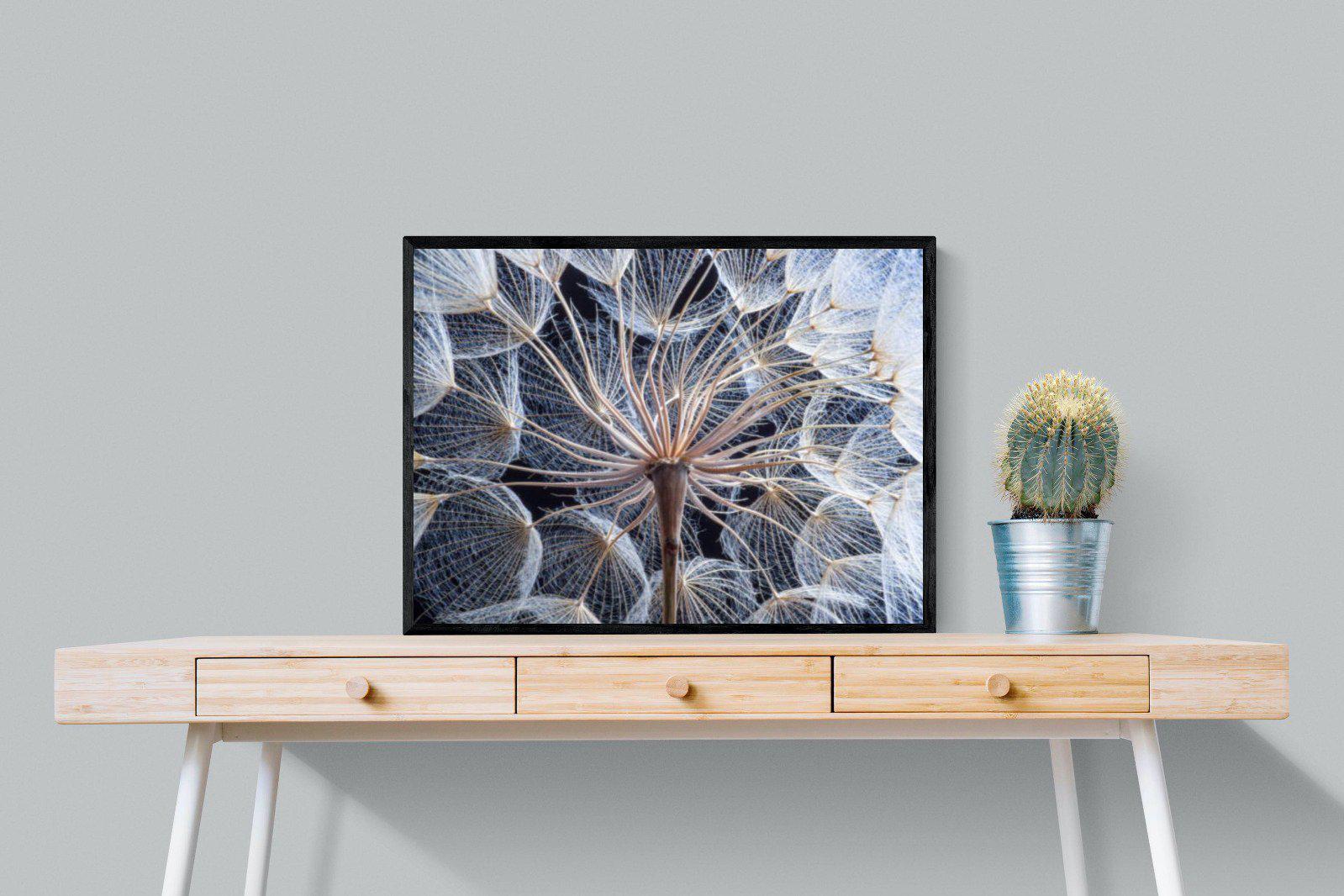 Dandelion Close Up-Wall_Art-80 x 60cm-Mounted Canvas-Black-Pixalot