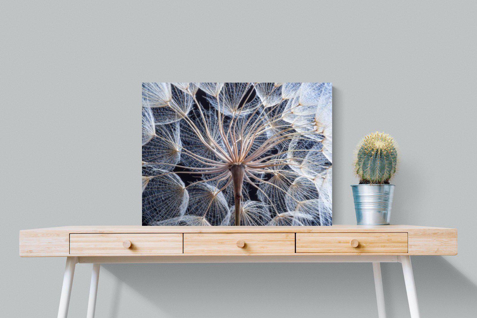 Dandelion Close Up-Wall_Art-80 x 60cm-Mounted Canvas-No Frame-Pixalot