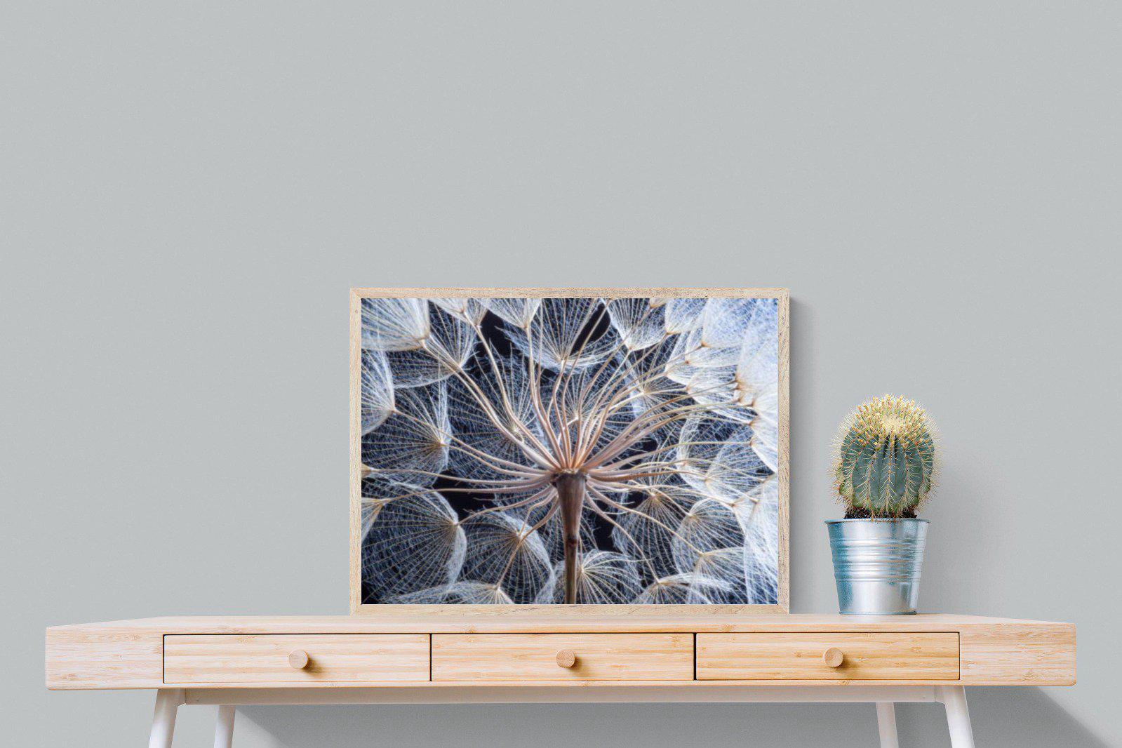 Dandelion Close Up-Wall_Art-80 x 60cm-Mounted Canvas-Wood-Pixalot