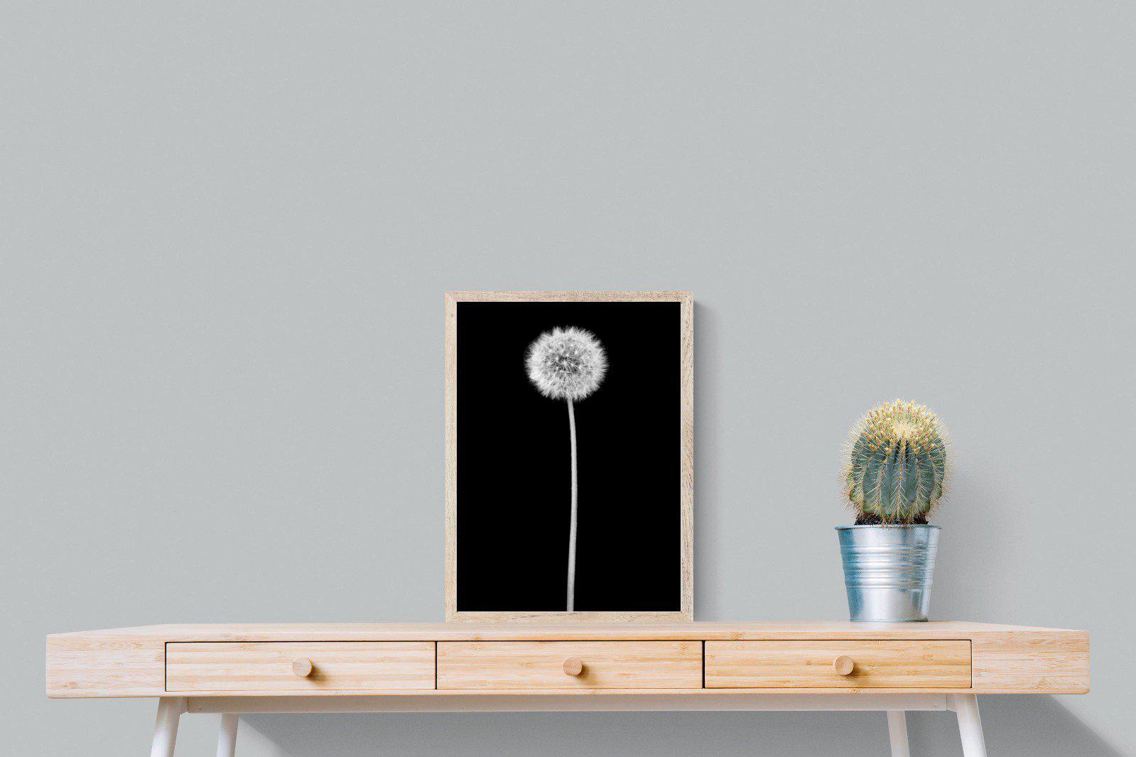 Dandelion Noir-Wall_Art-45 x 60cm-Mounted Canvas-Wood-Pixalot