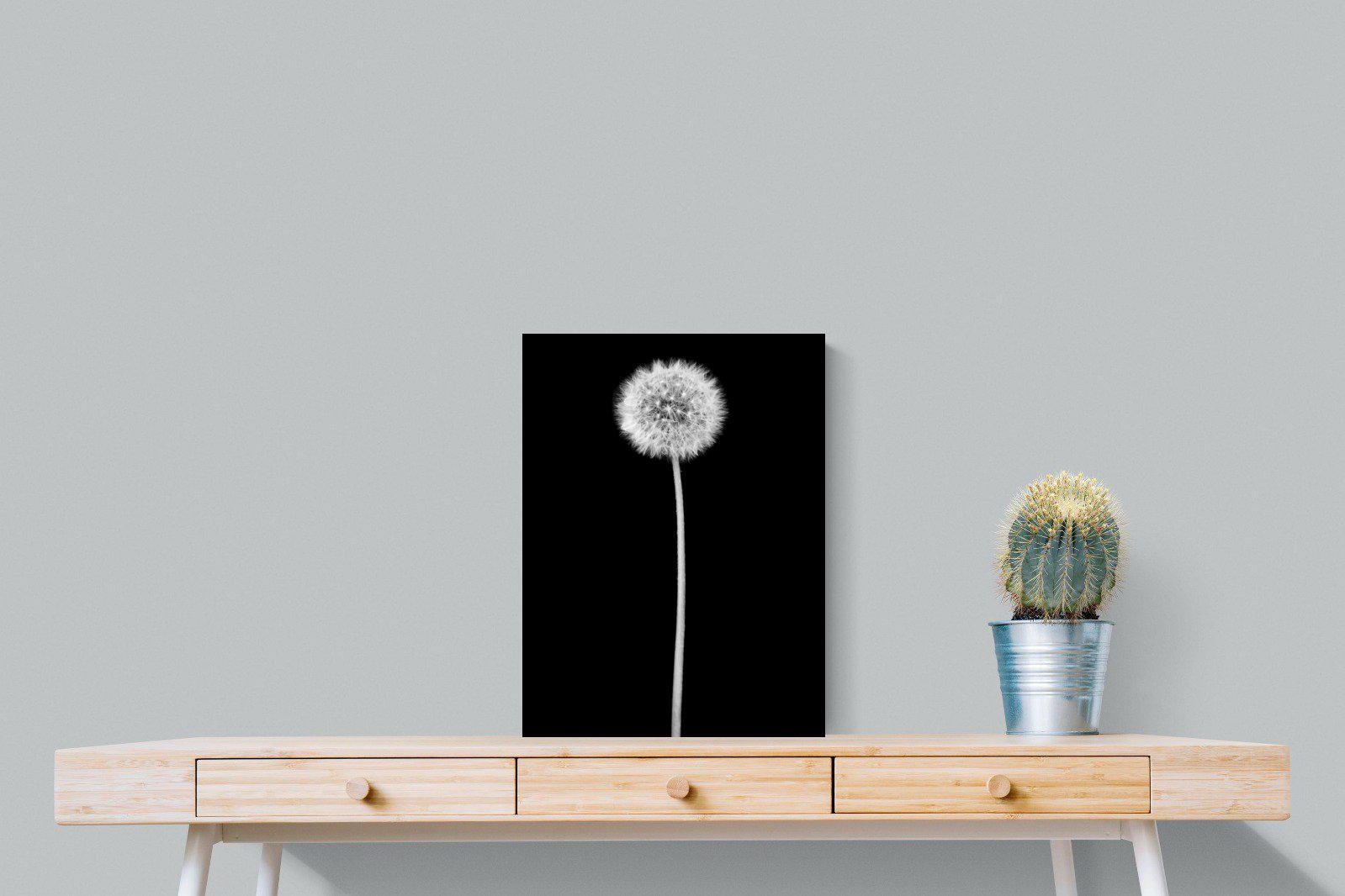 Dandelion Noir-Wall_Art-45 x 60cm-Mounted Canvas-No Frame-Pixalot