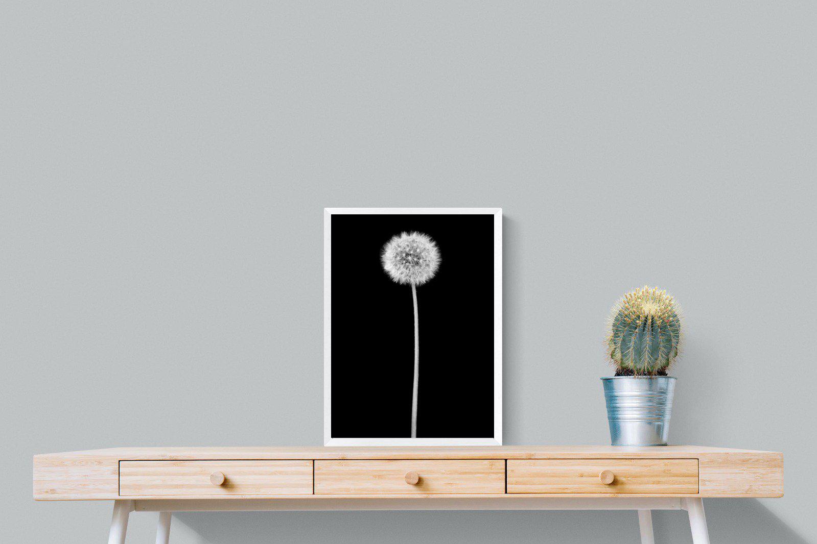 Dandelion Noir-Wall_Art-45 x 60cm-Mounted Canvas-White-Pixalot