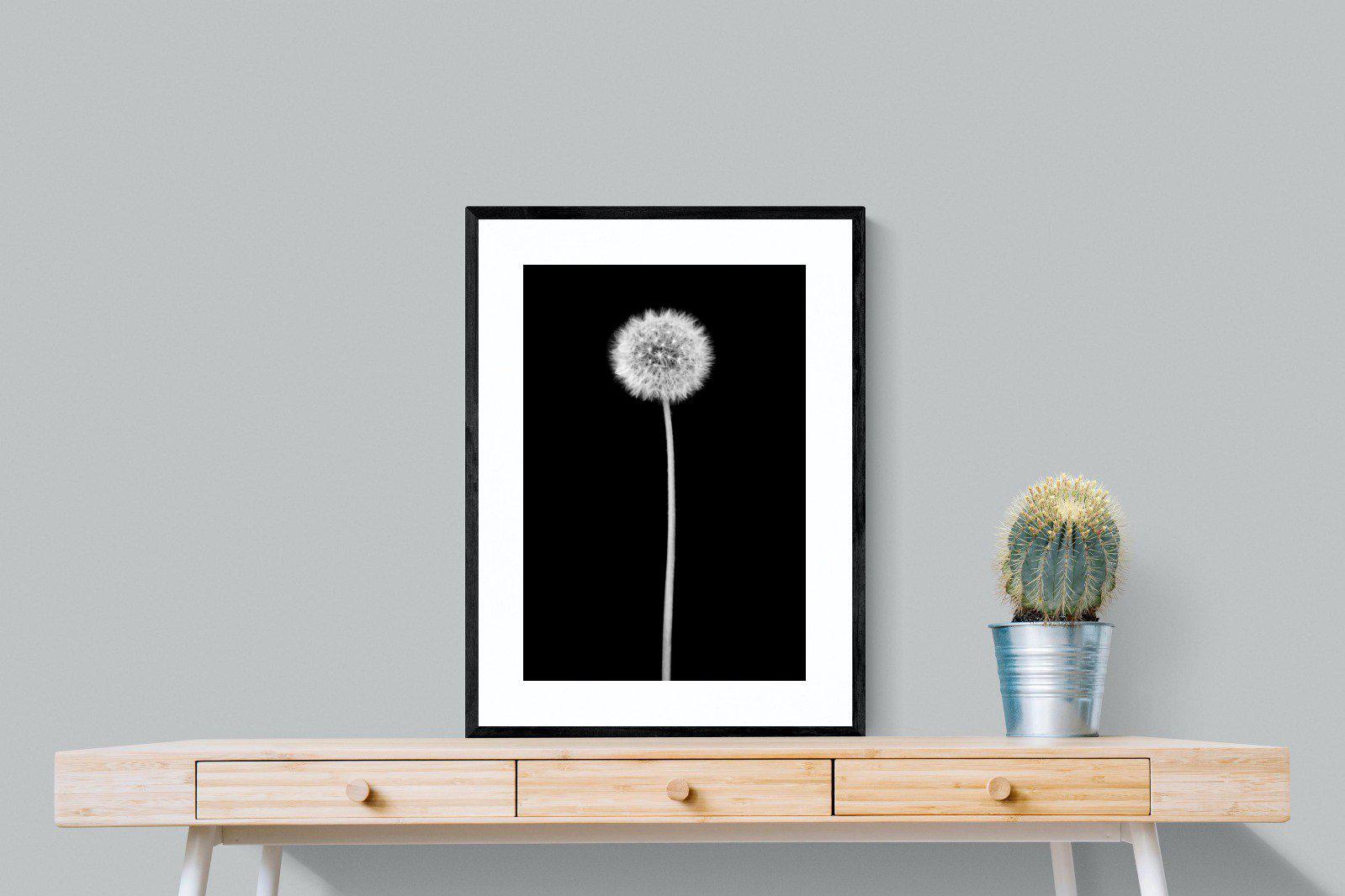 Dandelion Noir-Wall_Art-60 x 80cm-Framed Print-Black-Pixalot