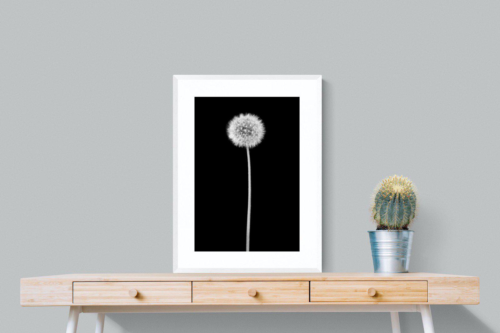 Dandelion Noir-Wall_Art-60 x 80cm-Framed Print-White-Pixalot
