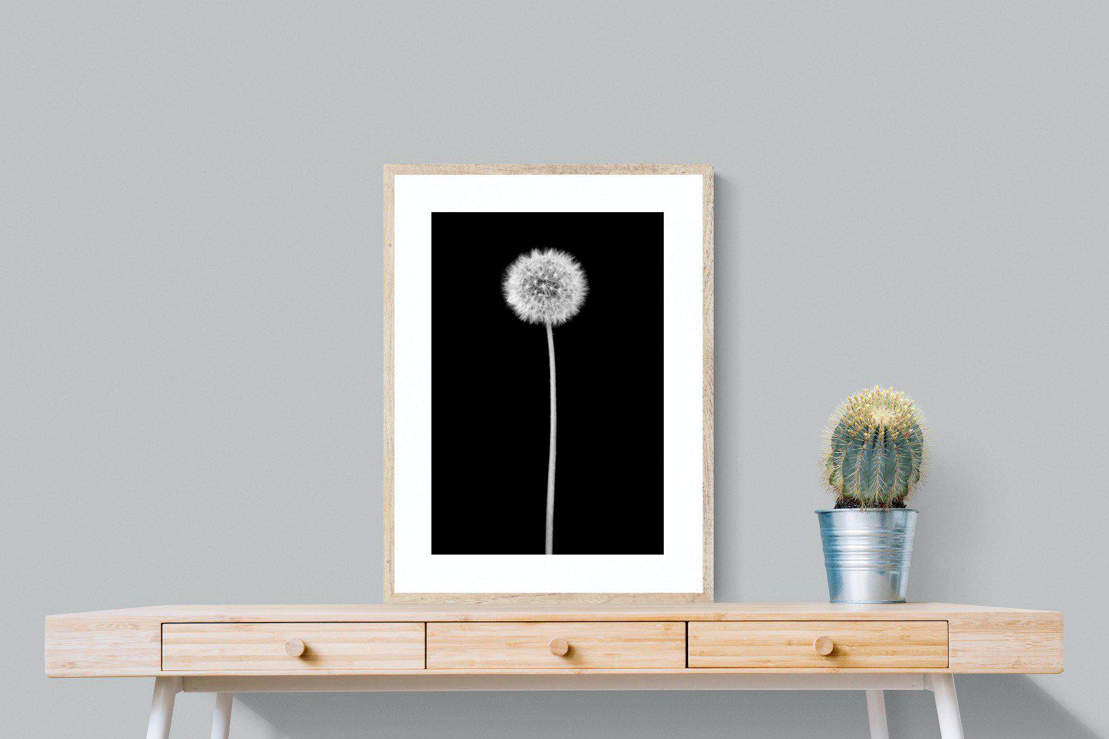 Dandelion Noir-Wall_Art-60 x 80cm-Framed Print-Wood-Pixalot
