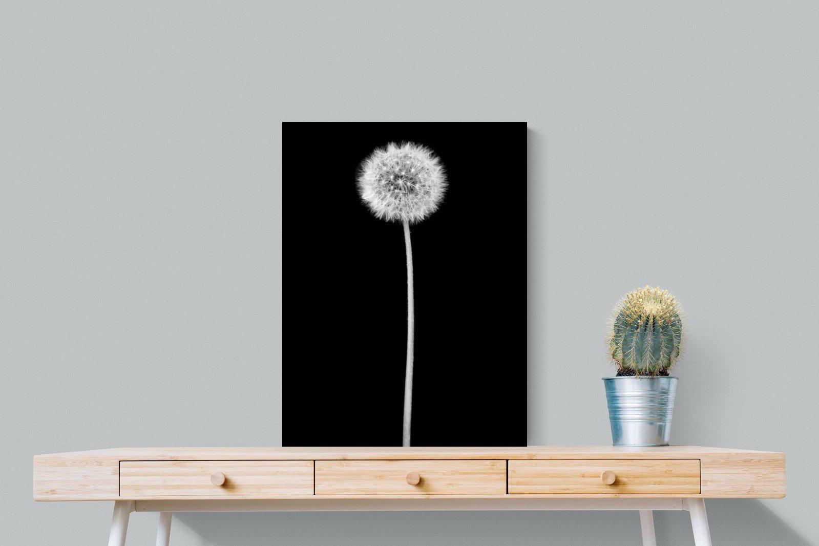 Dandelion Noir-Wall_Art-60 x 80cm-Mounted Canvas-No Frame-Pixalot