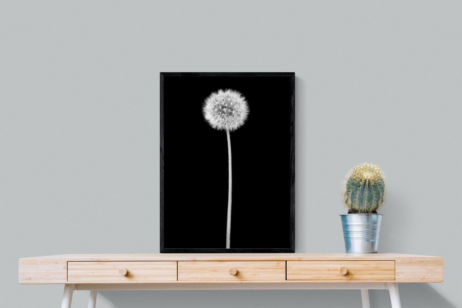 Dandelion Noir-Wall_Art-60 x 80cm-Mounted Canvas-Black-Pixalot