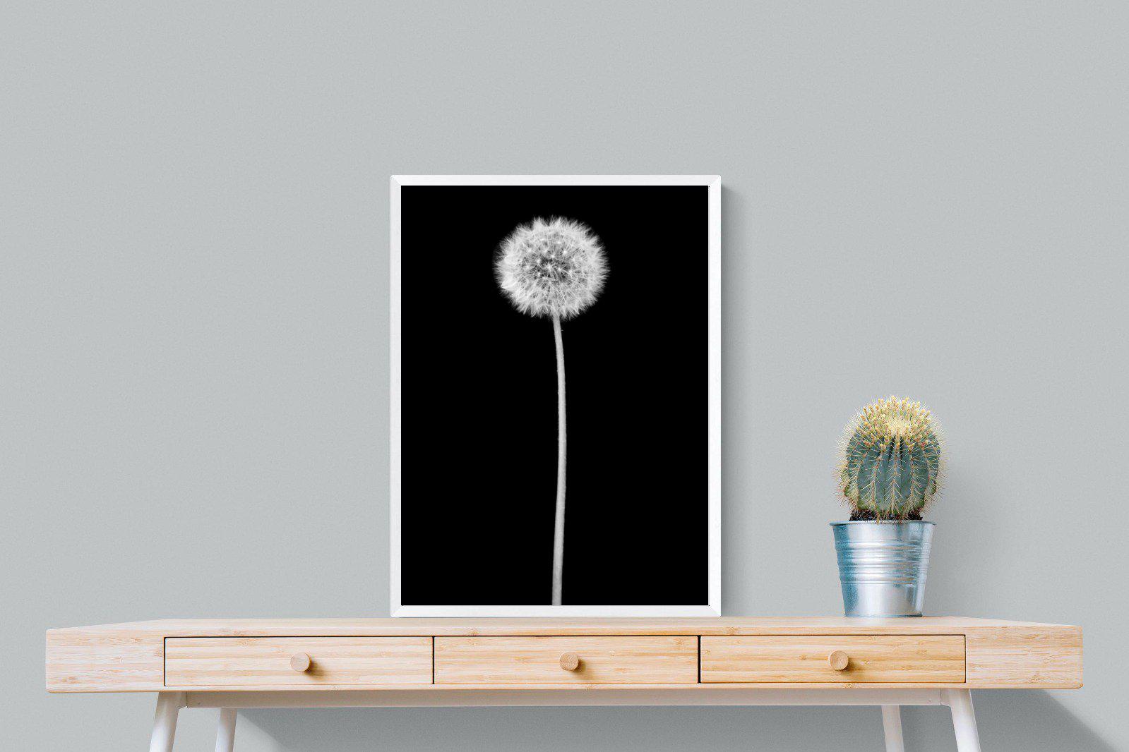 Dandelion Noir-Wall_Art-60 x 80cm-Mounted Canvas-White-Pixalot