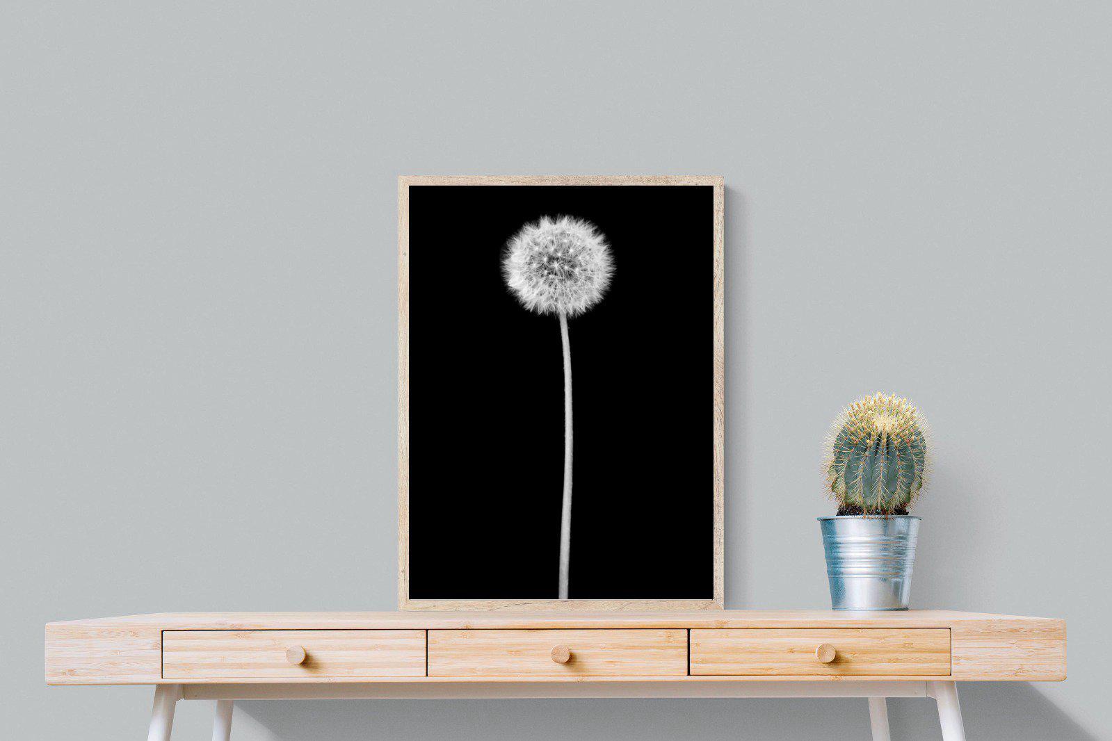Dandelion Noir-Wall_Art-60 x 80cm-Mounted Canvas-Wood-Pixalot