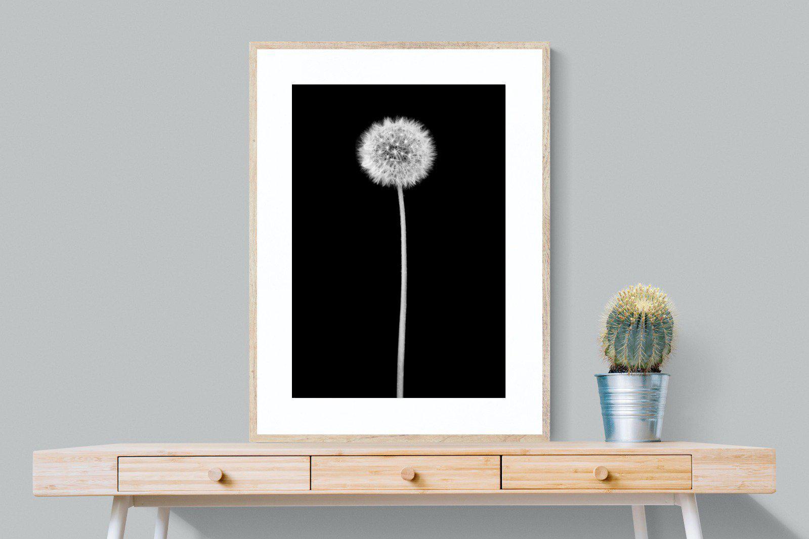 Dandelion Noir-Wall_Art-75 x 100cm-Framed Print-Wood-Pixalot