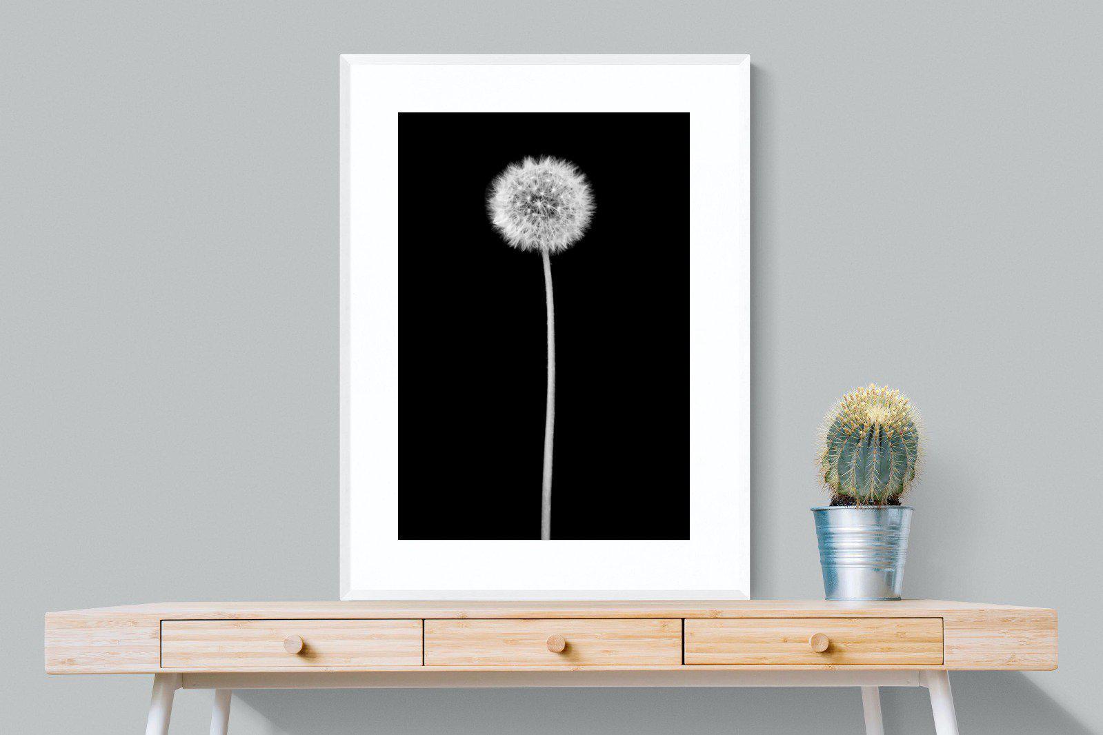 Dandelion Noir-Wall_Art-75 x 100cm-Framed Print-White-Pixalot