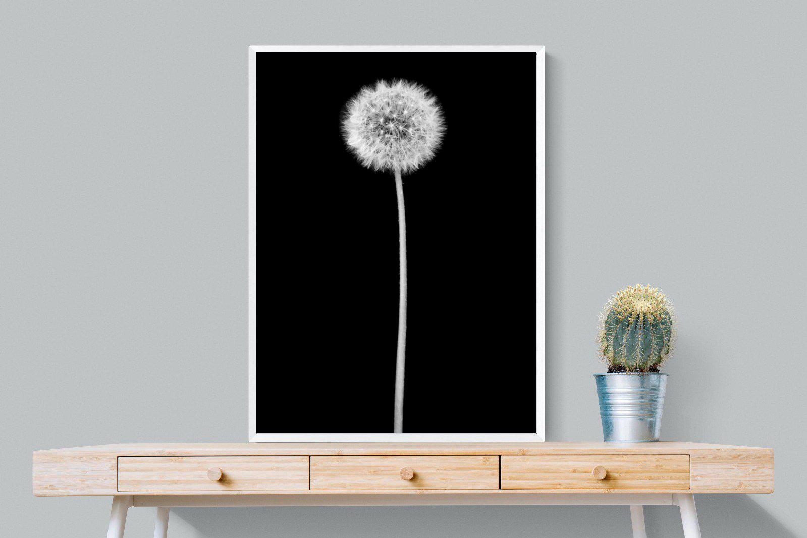 Dandelion Noir-Wall_Art-75 x 100cm-Mounted Canvas-White-Pixalot