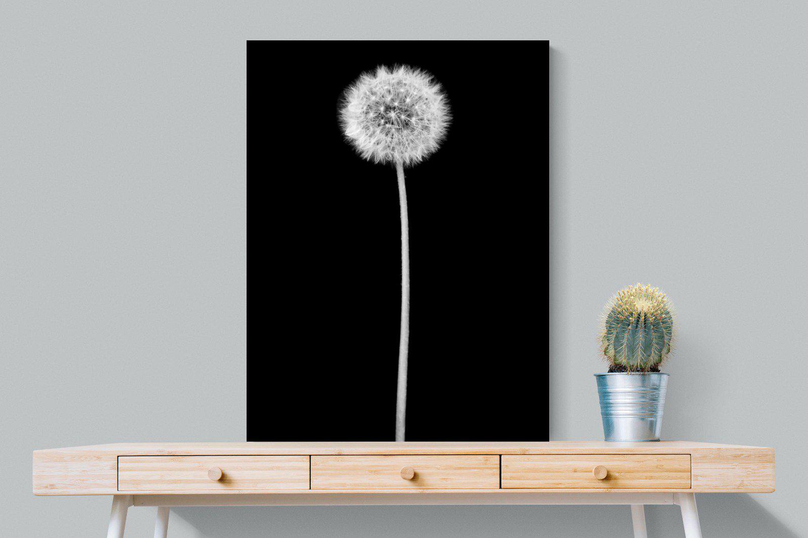 Dandelion Noir-Wall_Art-75 x 100cm-Mounted Canvas-No Frame-Pixalot